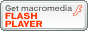 get the flash player